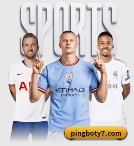 平博体育 APP(PinnacleSports)