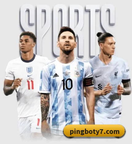 平博体育 APP 界面(PinnacleSports)